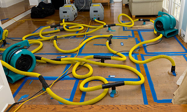 Professional Water Damage Repair technician working in Dover, OK